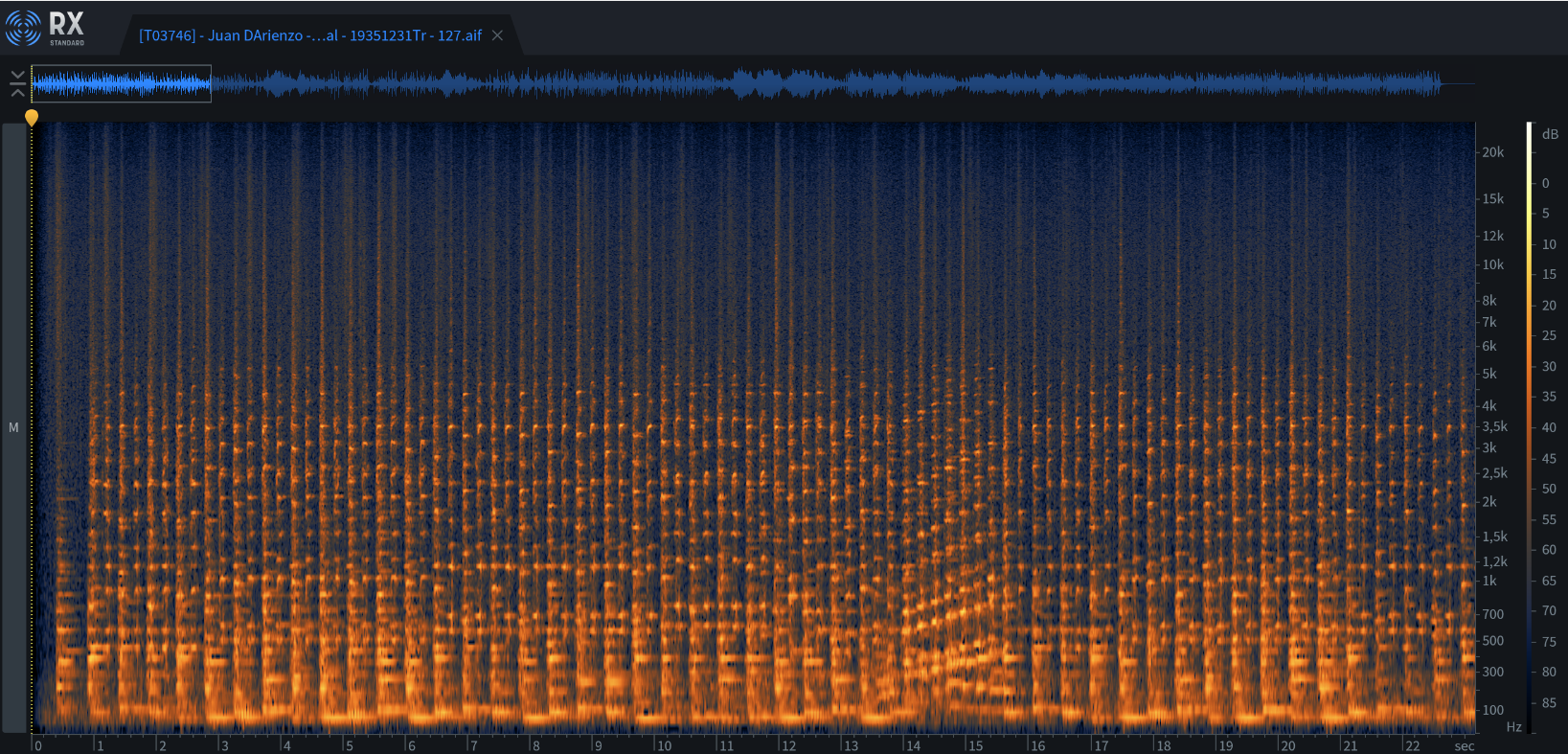 Spectrogram excerpt from Juan D'Arienzo’s “Nueve de Julio”